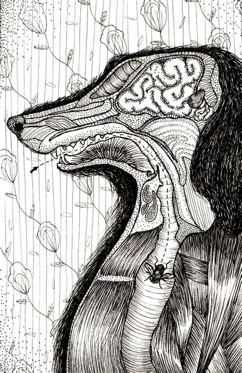Mosquita Muerta II / Fanzine on Behance