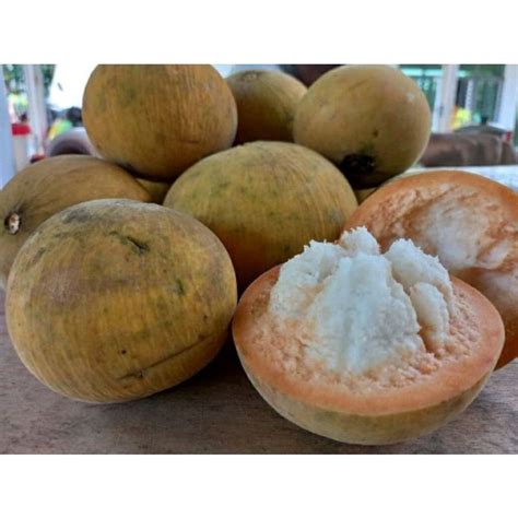 1KG BUAH SETOR BANGKOK VIRAL | Shopee Malaysia