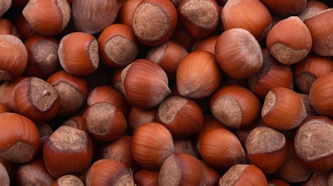 Download Food Hazelnut HD Wallpaper