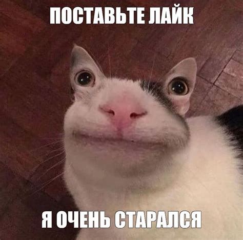 Мем: "ПОСТАВЬТЕ ЛАЙК Я ОЧЕНЬ СТАРАЛСЯ" - Все шаблоны - Meme-arsenal.com