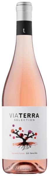 Edetària Via Terra Selection Rosé | Vivino US