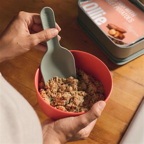 Best Dog Food for Gassy Dogs | Ollie