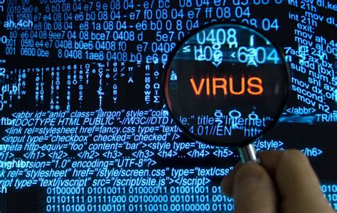 Интересные факты о компьютерных вирусах - Компьютерный салон СаНи