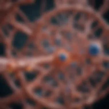 exploring beta galactosidase functions  impact