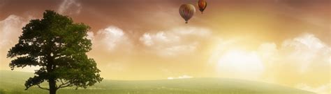 Genealogy Wallpaper - WallpaperSafari