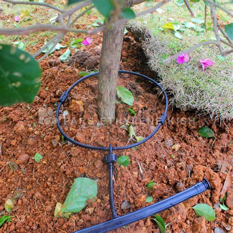 Drip Irrigation and Its Advantages and Disadvantages