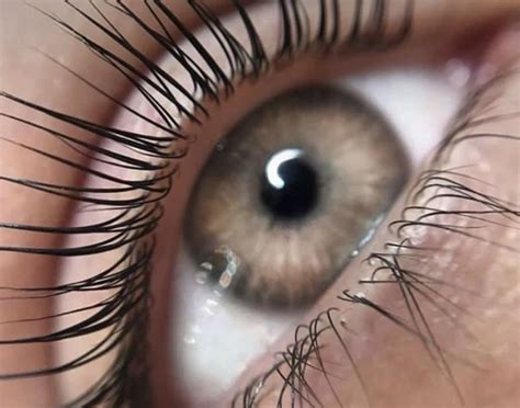 brow lash bar fina