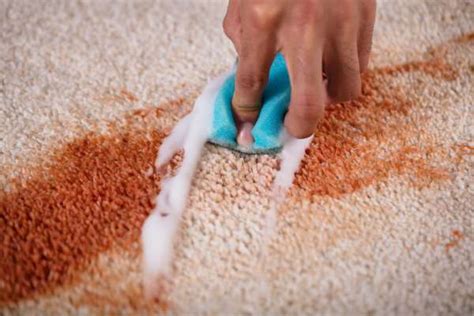 how to clean wool carpet stains