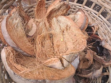 bisnis sabut kelapa  menjajikan