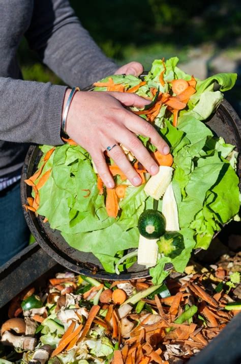 Learn How to Compost - thegoodstuff