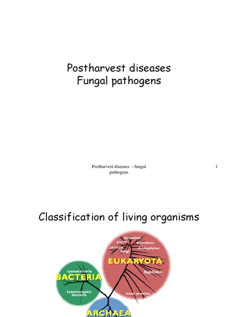 Fungal Pathogens | Plant Pathology | Fungus
