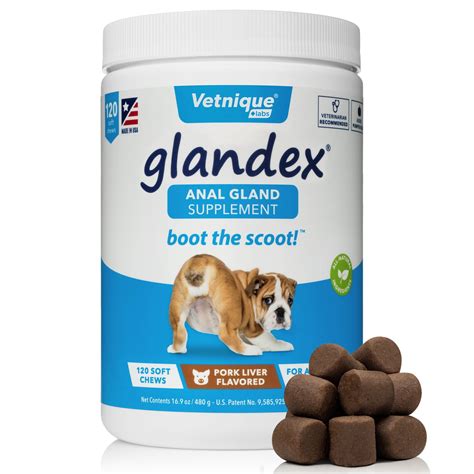 Glandex Anal Gland Soft Chew Treats with Pumpkin for Dogs 120ct Chews