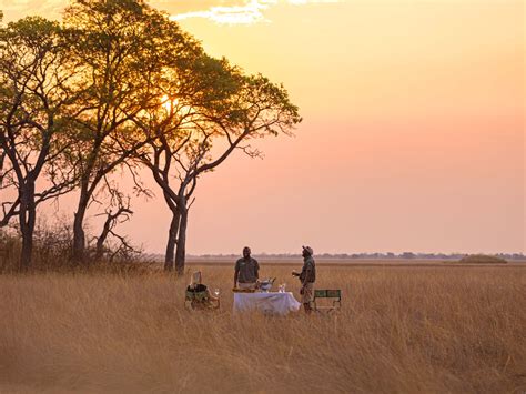 Zambian Safari Experiences that Reveal Africa's Magic - Blog | Green