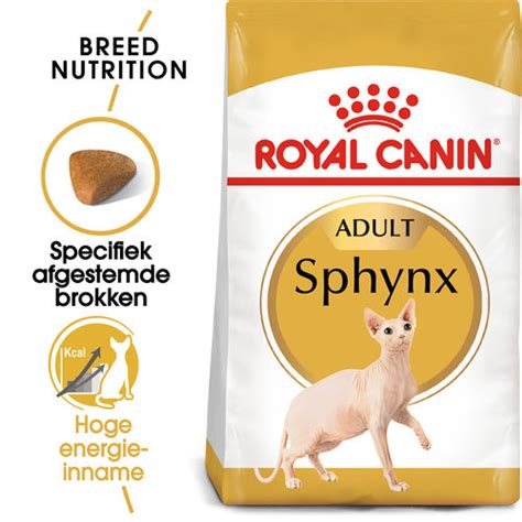 Royal Canin Sphynx Adult | Kat | Bestellen
