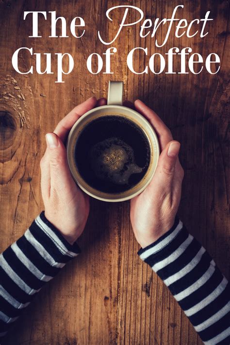 Coffee Filter Alternatives: Brew a Perfect Cup Without Paper - Hunter Games Magazine