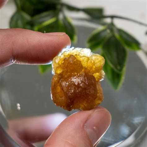 Citrine Cluster #4 - The Crystal Council