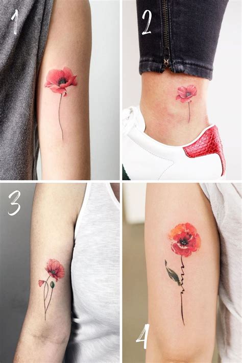 What Is The Meaning Of A Poppy Flower Tattoo - Infoupdate.org
