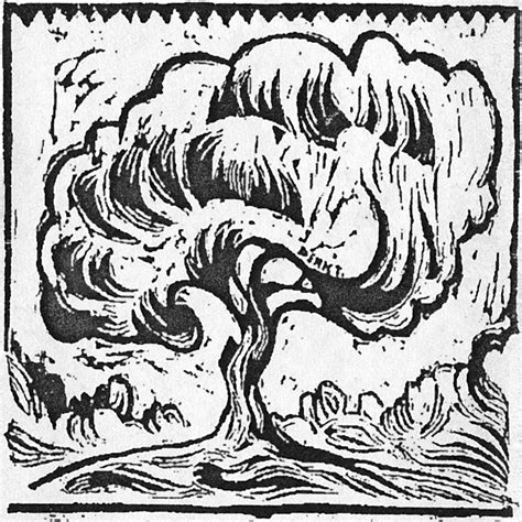 forest frenzy  artists  perth wa   borrow