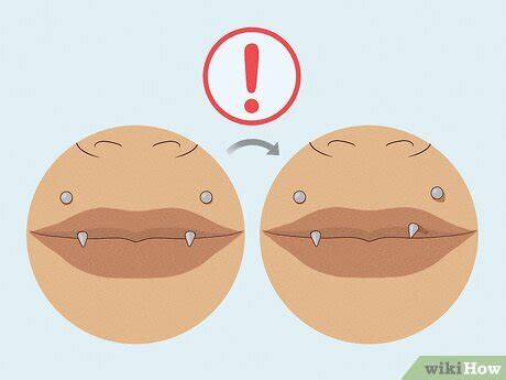 Angel Fangs 101: A Beginner's Guide to This Trendy Piercing