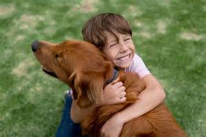 top  dog breeds  families  kids