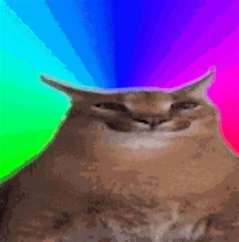 Floppa GIF - Floppa - Discover & Share GIFs | Cool gifs, Animals ...