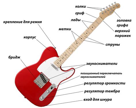 Из чего состоят акустическая гитара и электрогитара