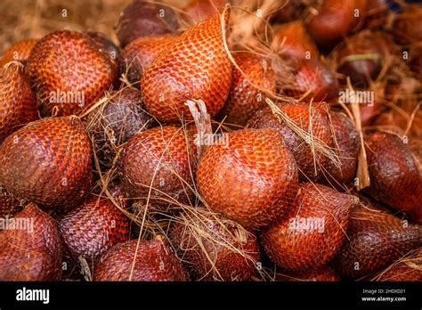 fruit, salak, fruits Stock Photo - Alamy