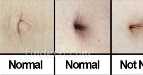 10 Disturbing Facts About Belly Buttons ~ Entertainment News, Photos & Videos - Calgary ...