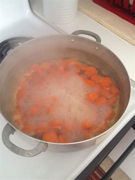 recipes with pureed carrots 2