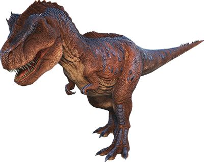 rexy   basic rex tips dododex