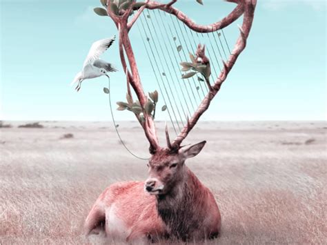 Surreal Animal Illusions That Are So Unique, They’ll Blow Your Mind ...