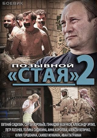 Фильмы и сериалы похожие на Позывной Стая 2 с описанием схожести