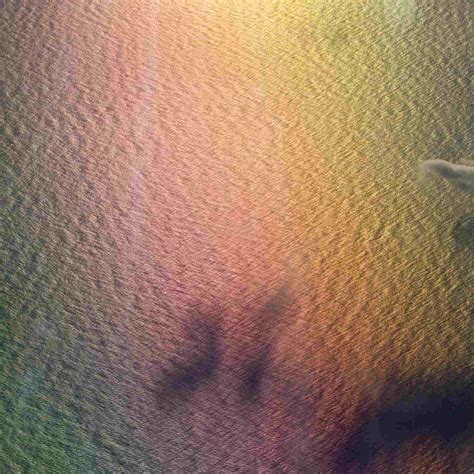 Awe-Inspiring Examples Of Tips About How To Protect The Marine Life