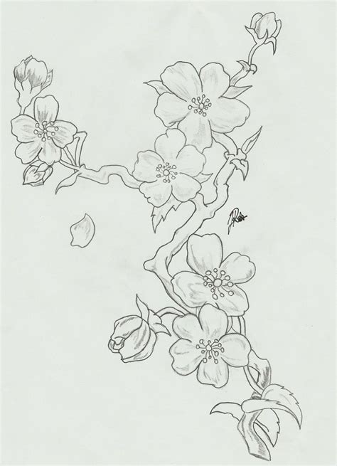 Cherry Blossom Branch Sketch at PaintingValley.com | Explore collection ...