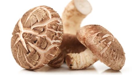 Гриби шиїтаке купити за найкращою ціною у Києві, Україні | WINETIME