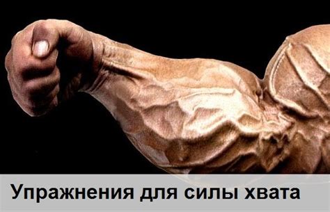 Упражнения для силы хвата
