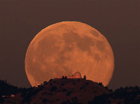 tarot de la zarina luna llena del  de marzo de
