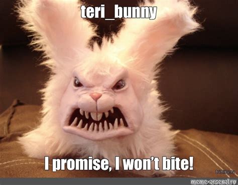 Meme: "teri_bunny I promise, I won’t bite!" - All Templates - Meme-arsenal.com