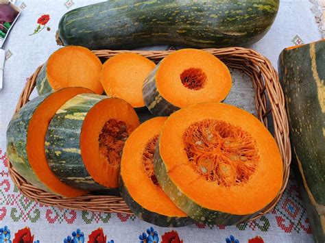 Тыква Лунга Пиена ди Наполи, купить за 15.00 грн. :: Rastim