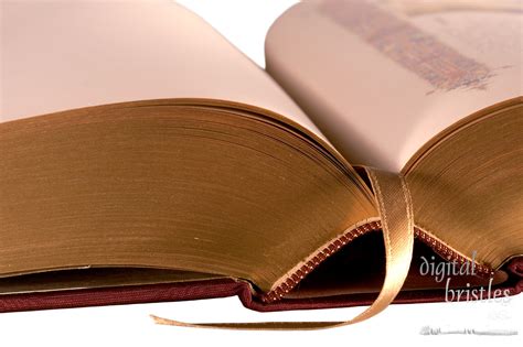 Open book - digital bristles