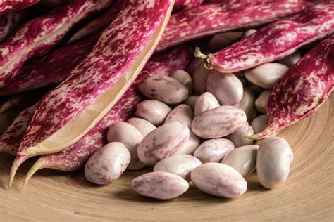cranberry beans recipes 2