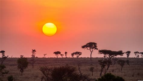 Serengeti National Park - Tanzania - Blog about interesting places