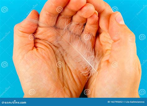 Feather and skin stock photo. Image of protect, care - 162795652