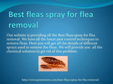 PPT - Best fleas spray for flea removal PowerPoint Presentation, free