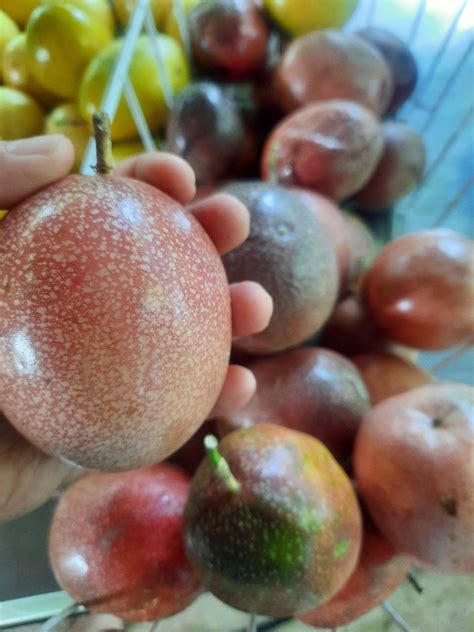 rareseeds com promo code 3