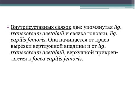 Ягодичная область, задняя область бедра, передняя область бедра ...