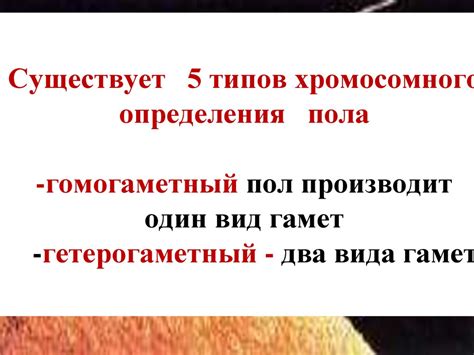 Определение пола. Наследование признаков, сцепленных с полом ...