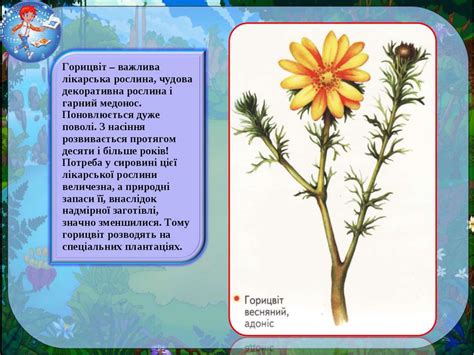 ЧЕРВОНА КНИГА РОСЛИНИ - презентація з інформатики