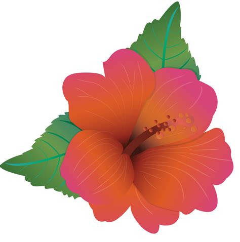 Polynesian flower 36648237 Vector Art at Vecteezy