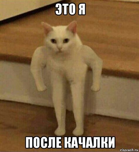 это я после качалки, Мем Полукот - Рисовач .Ру
